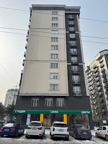профессор зимы: 1 комната, 49 м², Асанбай мкр Элитка, 7 этаж, Евроремонт — 10