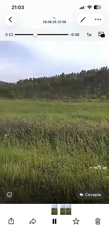 quba rayonu: Quba seherinin deveci rayonu Zeyve kendi Devecinin alt yaninda 1hektar — 6