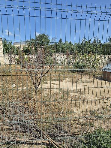qubada satilan torpaq: 3 sot, Tikinti, Mülkiyyətçi, Kupça (Çıxarış), Texniki pasport — 1