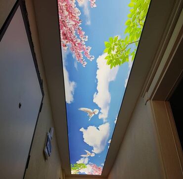 Digər tikinti xidmətləri: Dartma tavan dartma tavanlar 3D-5D Foto Divar Kağızları3d 5d Dartma — 3