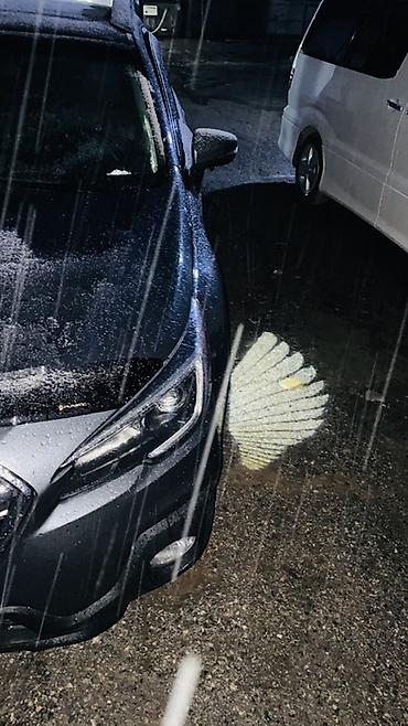 Subaru: Subaru Outback: 2018 г., 2.5 л, Вариатор, Бензин, Универсал — 13