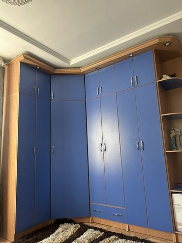 декоративные элементы для кухонной мебели: Шкаф для одежды, Угловой, ЛДСП