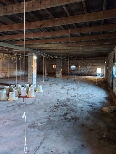 Bağ evlərinin satışı: Bakı, Qala qəs., 550 kv. m, 3 otaqlı, Hovuzsuz, Artezian quyusu, Qaz, Su — 3