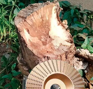 Ostali pribor i dodaci za alate: Metalno rende za brusilicu za mekane materijale kao što je drvo — 9