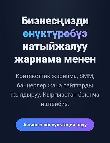 softech kg: Google, Контекстная реклама — 1