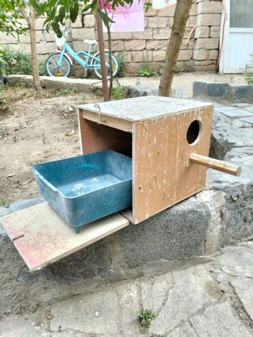 Yuvalar: Kerella yuva 7 eded 4 Iran qefesi 10 eded 10 azn Balaca yuva 47 eded -da lalafo.az — 3 Yuvalar: Kerella yuva 7 eded 4 Iran qefesi 10 eded 10 azn Balaca yuva 47 eded — 3