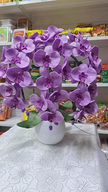 Утепленные жилеты: Орхидея 
Орхидея светильник 
Цветы Бишкек
Светильник 
Ручнаяработа — 8