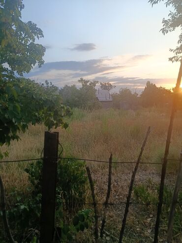 Продажа участков: 10 соток, Красная книга — 10