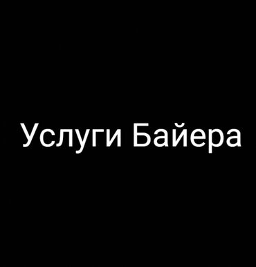 бассейн с шарами: Jana Buyer — оказывает услуги байеров, помощь с поиском и отправкой