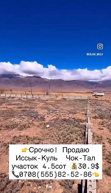первое: 4 соток, Для строительства, Красная книга — 3