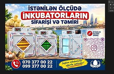 Inkubator inqubator İstənilən ölçüde yığıram tam profsenal yığdığım lalafo.az -da Inkubator inqubator İstənilən ölçüde yığıram tam profsenal yığdığım