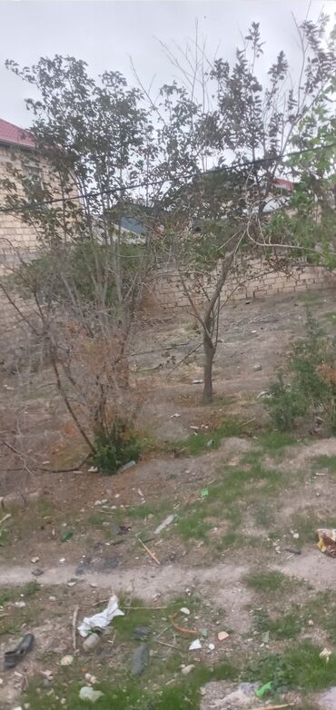 Torpaq sahələrinin satışı: 2 sot, Tikinti, Mülkiyyətçi, Kupça (Çıxarış) -da lalafo.az — 10 Torpaq sahələrinin satışı: 2 sot, Tikinti, Mülkiyyətçi, Kupça (Çıxarış) — 10