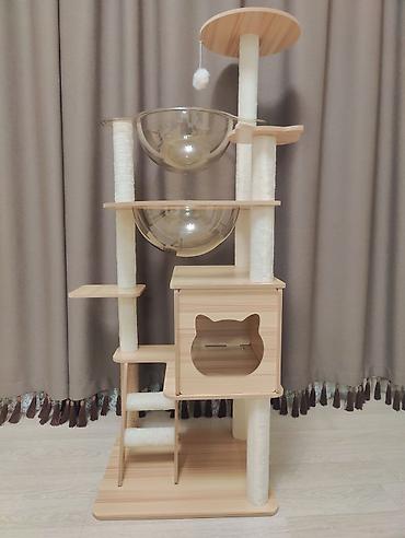 купить брейнротов в укради брейнрот: Игровой комплекс для кошек из дерева с прозрачными лежанками - — 3