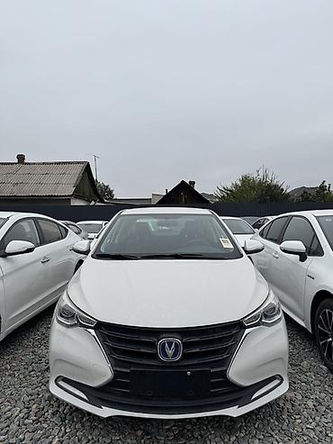 Changan: Changan Alsvin: 2020 г., Автомат, Бензин, Седан — 1