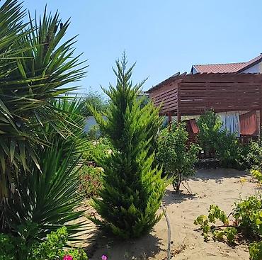 Uzunmüddətli kirayə evlər: 800 kv. m, 3 otaqlı, Qaz — 16