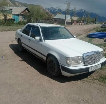 купить мерседес спринтер в европе: Mercedes-Benz W124: 1985 г., 2.3 л, Механика, Бензин, Седан