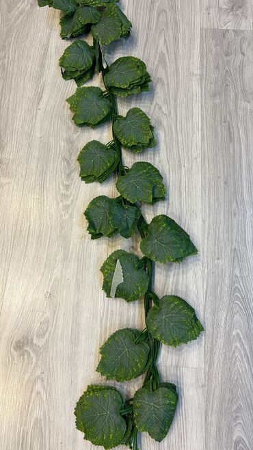 Toxumlar: 9 azn baslayan qiymetler Suni qazonlarin topdan satisi Suni qazon — 12