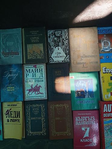 школьники сливы: Коллекция разножанровых книг (художественная литература, детективы — 4