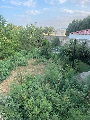 şabran: 7 sot, Tikinti, Mülkiyyətçi, Kupça (Çıxarış) — 6