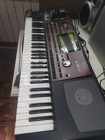 nergiz necef 111: Korg Pa700 Professional Arranger sintezator - 61 klavişli, sürətli — 2