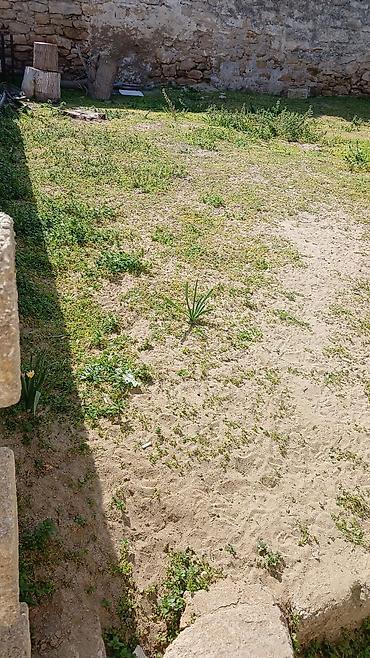 Torpaq sahələrinin satışı: Tikinti — 4