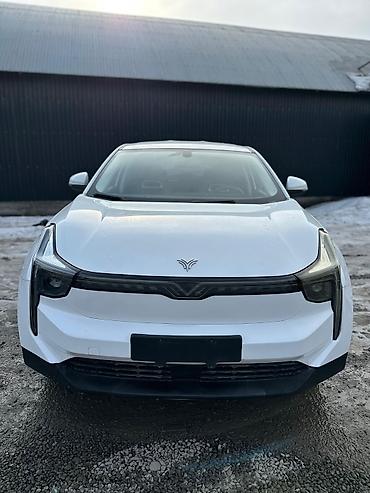 Другие автомобили: Электрокроссовер SWM EDi05 (белый цвет кузова) Кузов и дизайн: - — 2