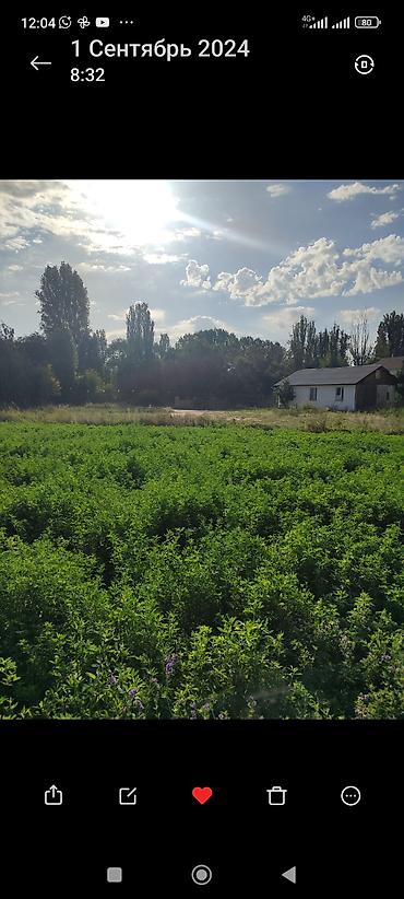 Продажа участков: 13 соток, Для бизнеса — 8