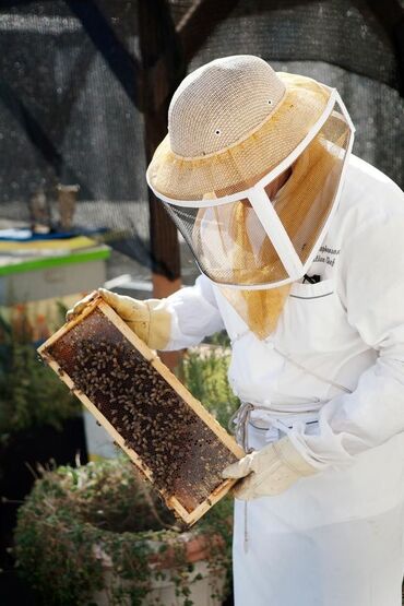 летние: Требуется помощник пчеловода. Мужчины от 16 до 40 лет. С выездом на