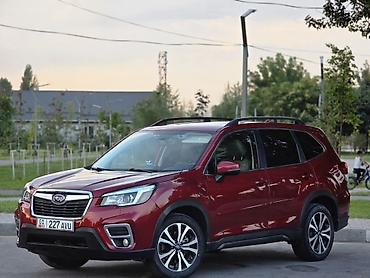 forest: Subaru Forester: 2019 г., Кроссовер — 3