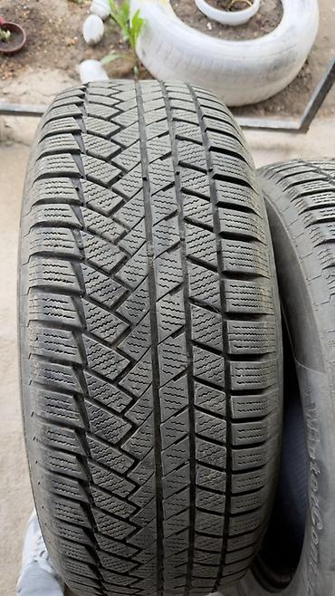 continental: Шины 255 / 60 / R 20, Лето, Б/у, Комплект, Внедорожные (АТ/МТ), Continental — 8
