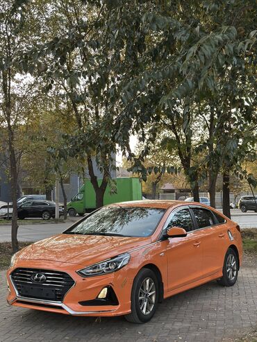 шины на сонату: Hyundai Sonata: 2019 г., 2 л, Автомат, Газ, Седан