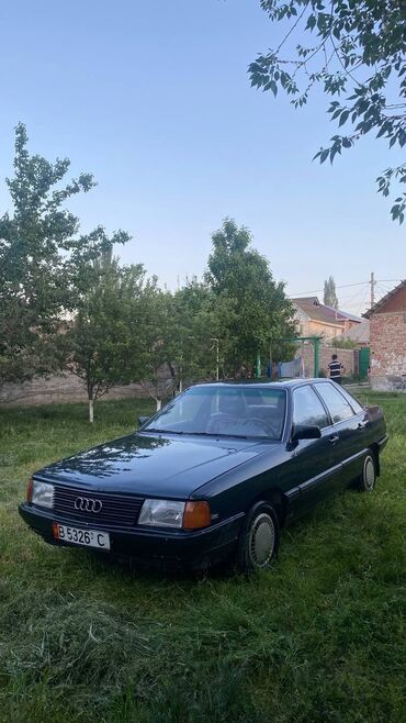 Audi: Audi 100: 1984 г., 2 л, Механика, Бензин, Седан