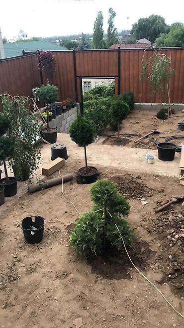 Газон: Автополив газона — легко и удобно! Установим систему автополива под — 11