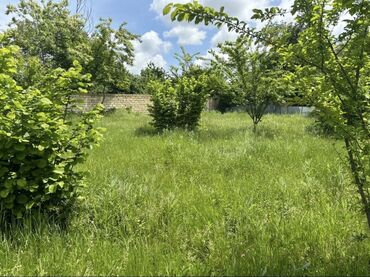 Torpaq sahələrinin satışı: 22 sot, Mülkiyyətçi, Kupça (Çıxarış) -da lalafo.az — 3 Torpaq sahələrinin satışı: 22 sot, Mülkiyyətçi, Kupça (Çıxarış) — 3