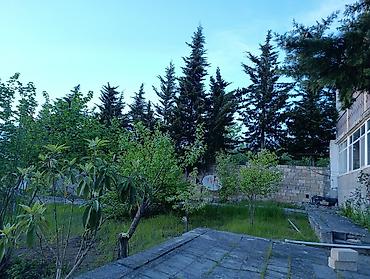 ev alqi satqisi 2018 sumqayit: 90 м², 4 комнаты, Интернет, Газ, Электричество — 2