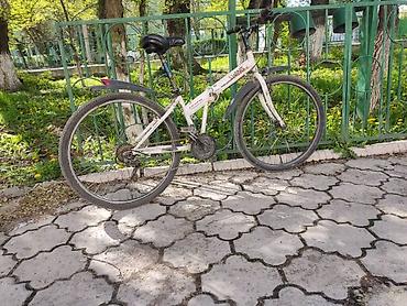 Горные велосипеды: Горный велосипед, Сталь — 2