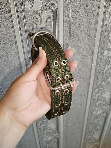 lider 55 cuce: Geniş və möhkəm it boyunluğu - Material: qalın toxunmuş neylon parça — 1