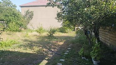 quba a frame evler: 4 otaqlı, 100 kv. m, Kredit yoxdur, Orta təmir — 2