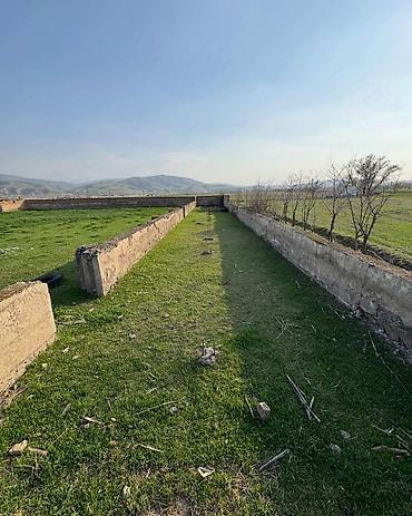 Продажа участков: 125 соток — 3