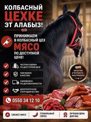 быки куплю: Колбасный цех : Лошади, кони, Коровы, быки, | Круглосуточно — 2