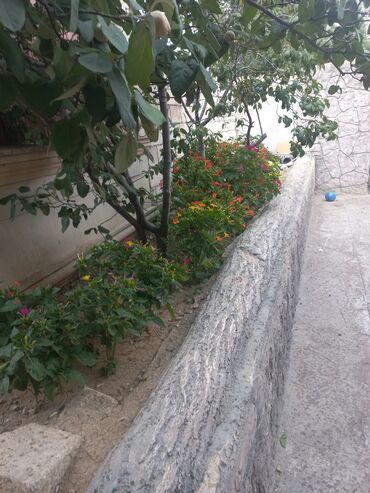 Həyət evləri və villaların satışı: 4 otaqlı, 3300 kv. m, Kredit yoxdur, Yeni təmirli — 4