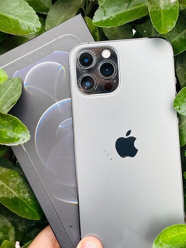 Apple iPhone: IPhone 12 Pro Max | İşlənmiş | 256 GB Matte Silver | Zəmanət, Simsiz şarj, Face ID