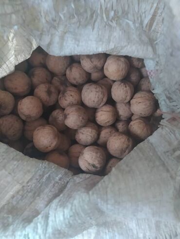 Сухофрукты, орехи, снеки: Продаю орехи 50 с/кг