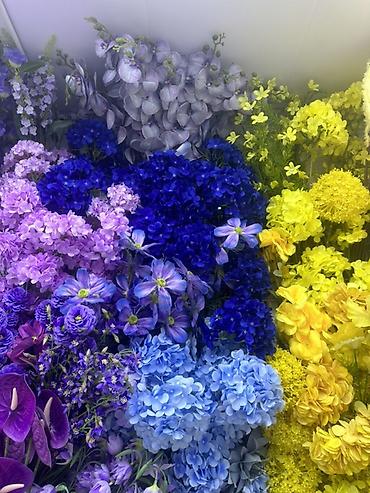комнатные деревья: Искусственные растения и цветы для декора помещений. - Высокие — 8