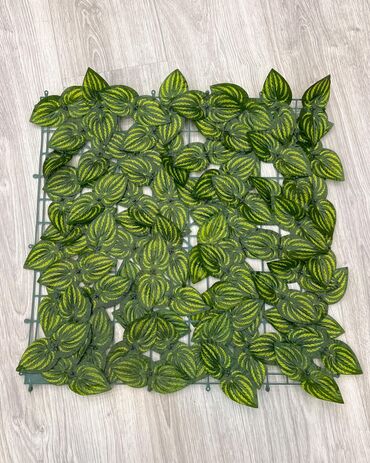 Toxumlar: 10 azn başlayan qiymətlər Suni qazon depodan bi̇r başa satişdir — 19