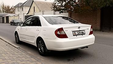 camry 2010: Toyota Camry: 2002 г. — 4
