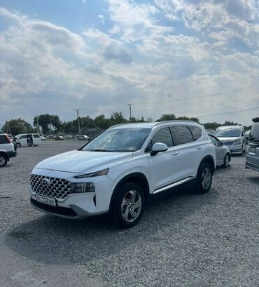 стеклоподъемника: Hyundai Santa Fe: 2022 г., 2.5 л, Автомат, Бензин, Кроссовер