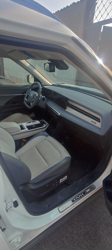 Weltmeister: Weltmeister 2024 г., 24000 км, Передний, В наличии — 7