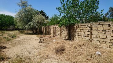 Torpaq sahələrinin satışı: 25 sot, Tikinti, Makler, Kupça (Çıxarış) -da lalafo.az — 5 Torpaq sahələrinin satışı: 25 sot, Tikinti, Makler, Kupça (Çıxarış) — 5