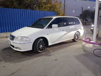 домкраты бу: Honda Odyssey: 2000 г., 3 л, Типтроник, Газ, Минивэн